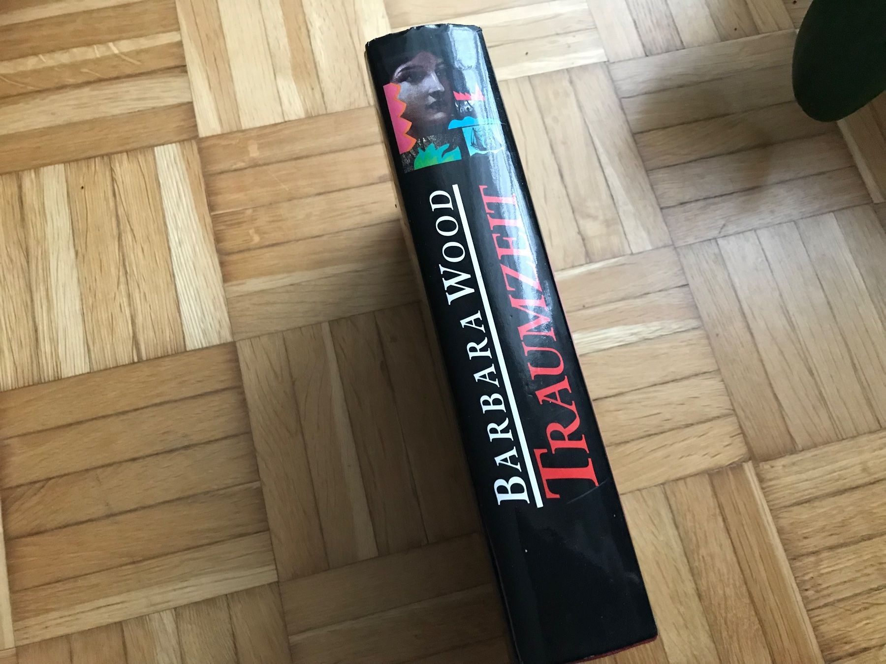 Libri: Barbara Wood - Traumzeit – Usato da Emmenbrücke venduto da Hathor123 1