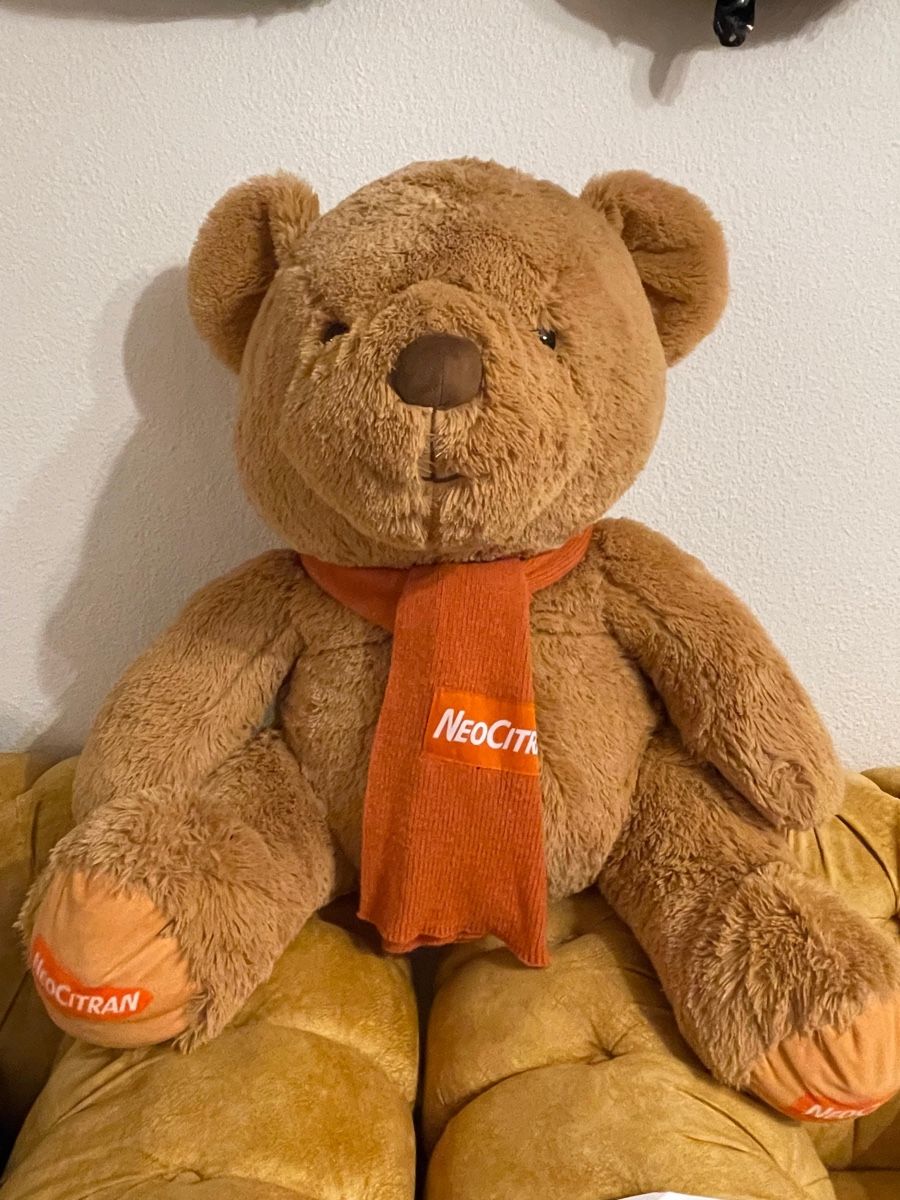 Spielzeuge: GROSSER TEDDY BÄR 🐻  – Neu (gemäss Beschreibung) aus Zürich von sha_207