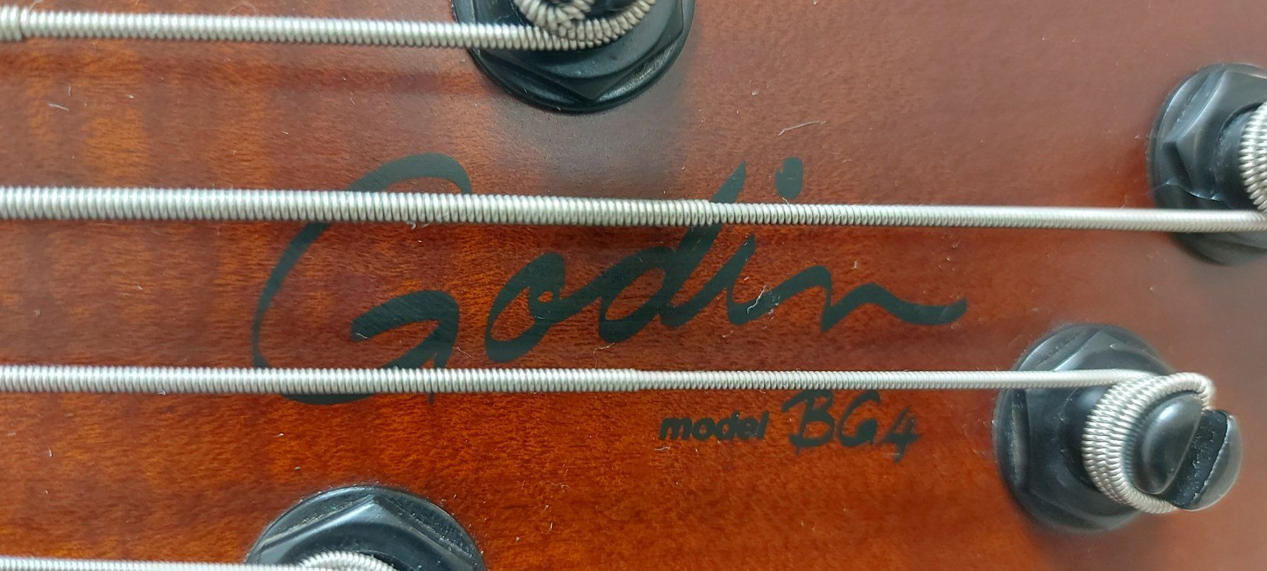 Cort Strumenti musicali: E-Bass Godin BG4 knobs & active neuwertig – Nuovo (secondo la descrizione) da Glattbrugg venduto da Swissmusik 4
