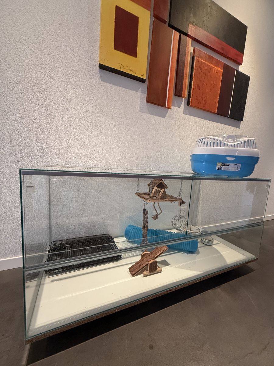 Terrariums: Hamsterkäfig mit Zubehör – D'occasion à Hägendorf par studedo01 1