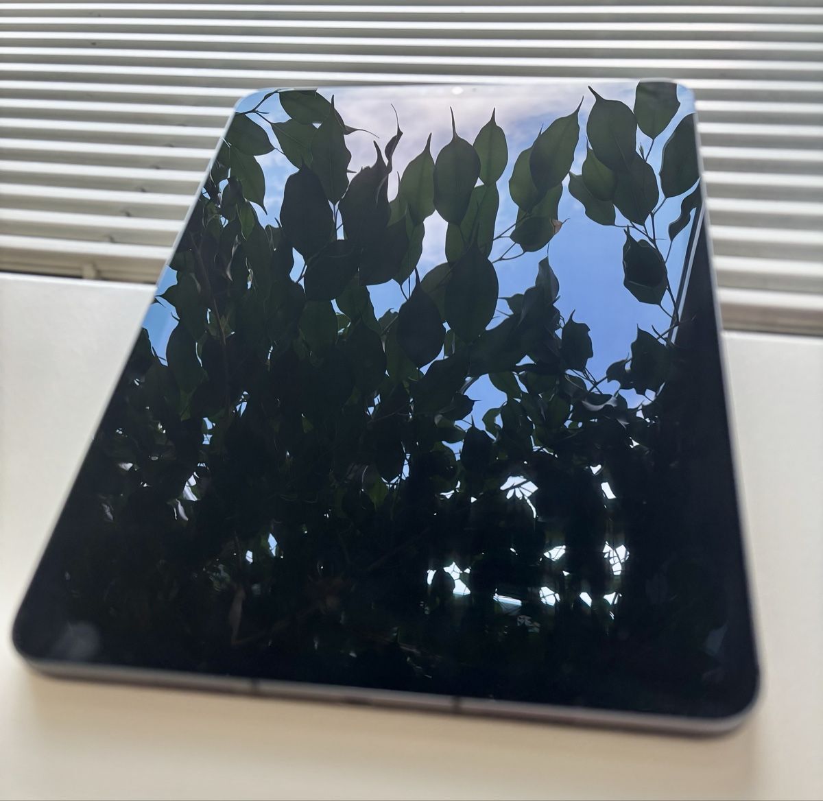 Apple Tablet PC: iPad Pro 11" - Wifi - Cellular 5G, M1, Pen, Keypboard, Folio – Usato da Oberdiessbach venduto da Npss 1
