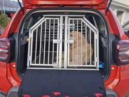 neue Doppelhundebox für Dacia Duster (4x4 Allrad)