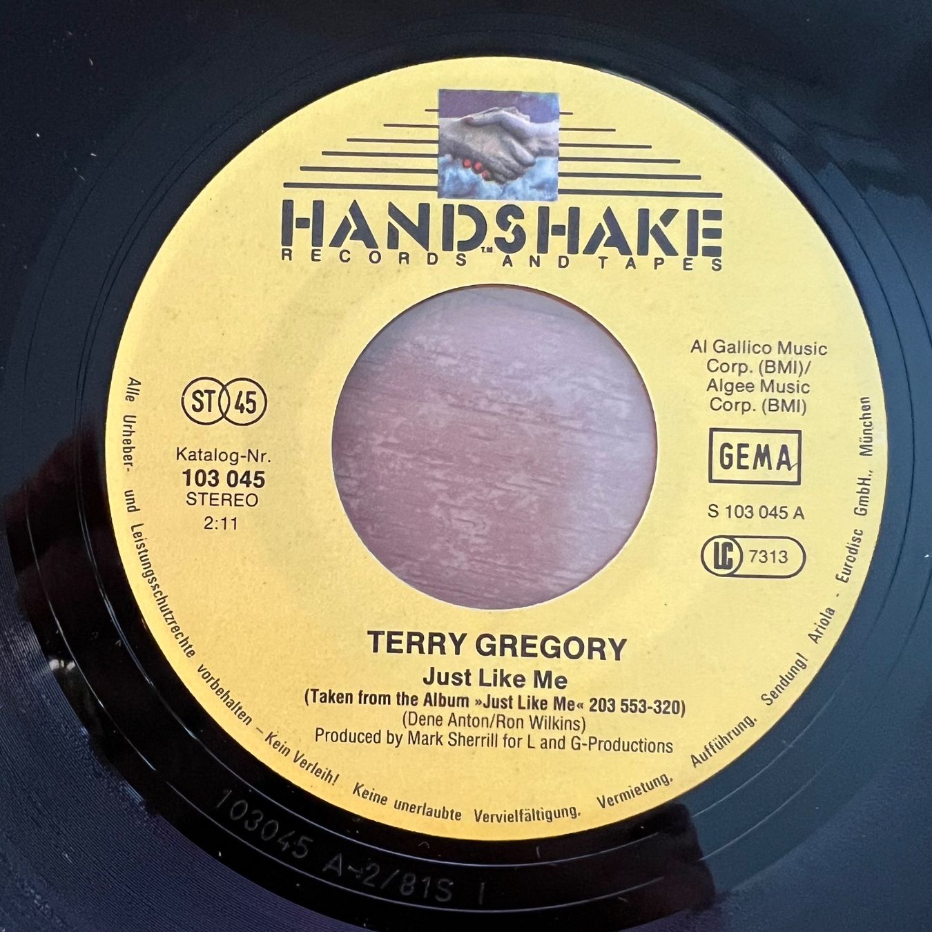 Dischi in vinile: Terry Gregory - Just Like Me / 1. D-Press. 1981 – Usato da Gais venduto da soundcave57 2