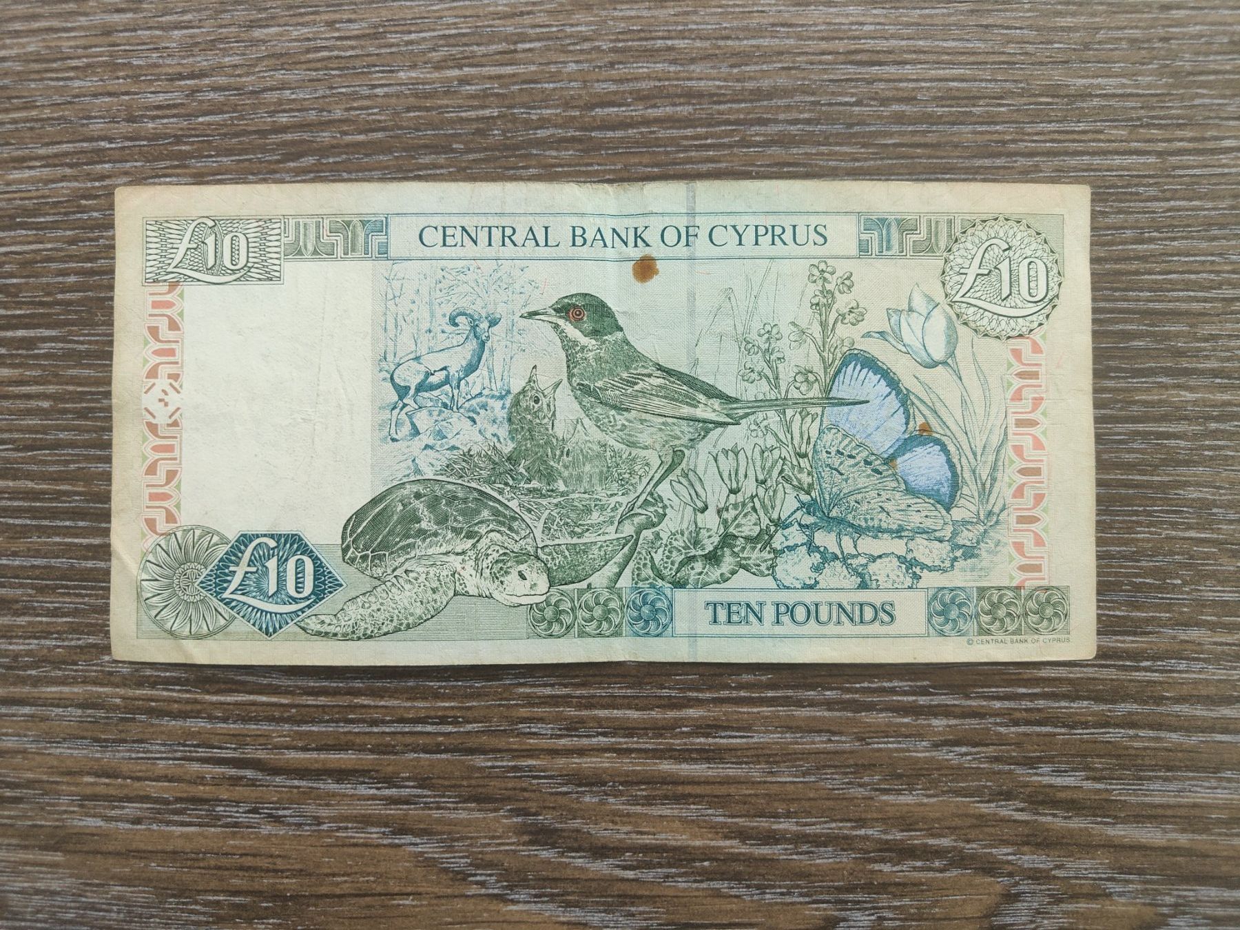 Banconote: Zypern 10 Pound 1997 – Usato da Flaach venduto da Lonzo99 1
