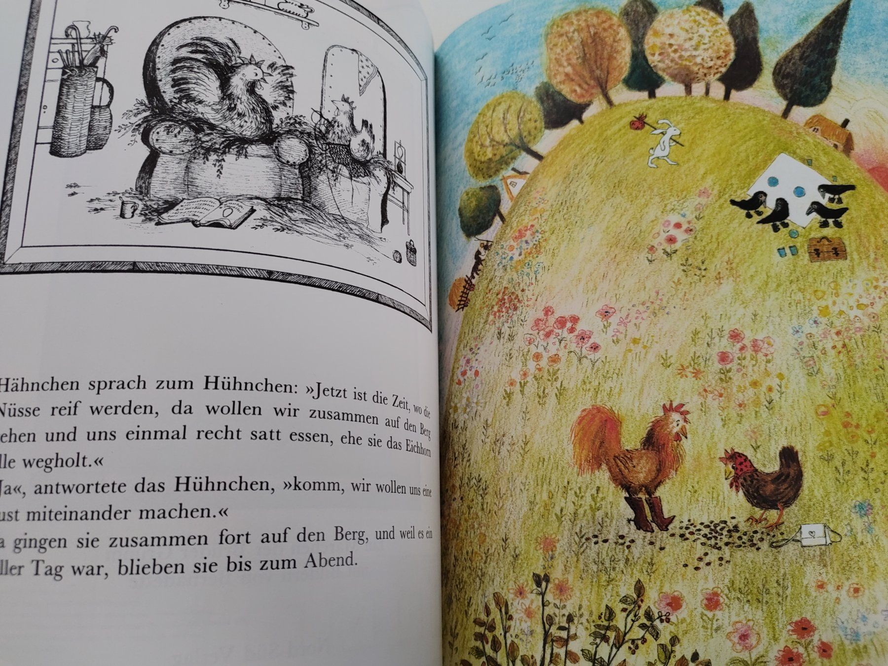 Libri: Kinderbuch/Bilderbuch: Das Lumpengesindel – Usato da Zürich venduto da Mar_Mic 2