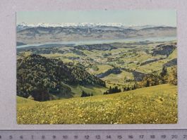 Alp Scheidegg, gegen Wald, 1962, Poststempel Wald ZH