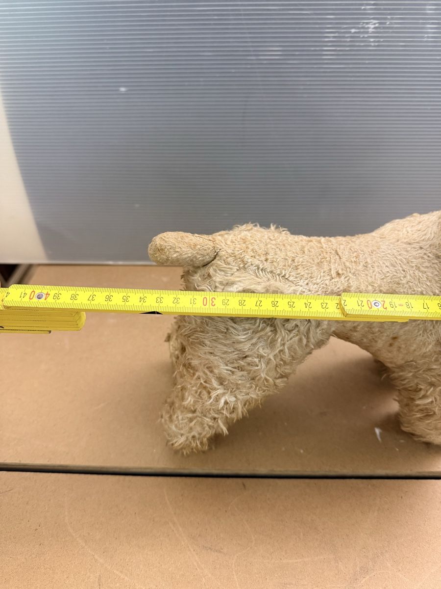 Giocattoli: Alter Plüschhund – Usato da Solothurn venduto da NUVICO 6