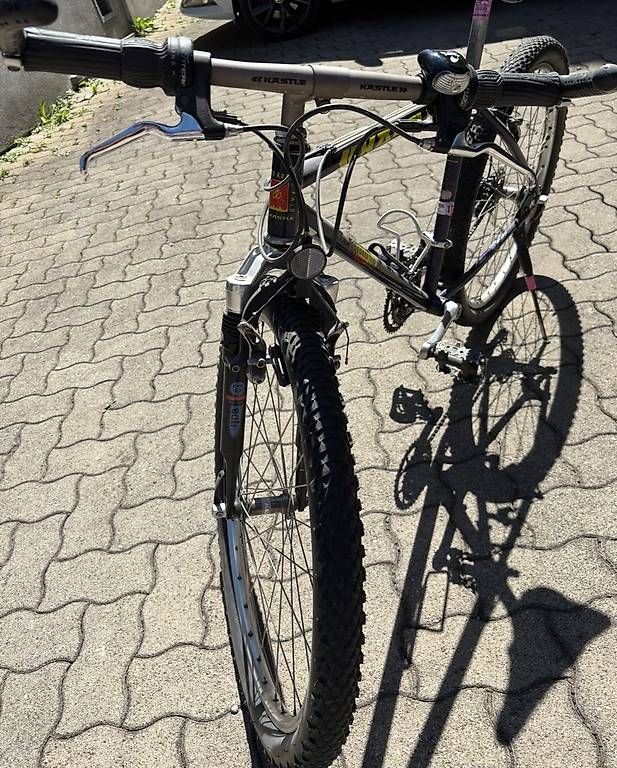 Biciclette: Velo – Usato da Azmoos venduto da durmisis 1