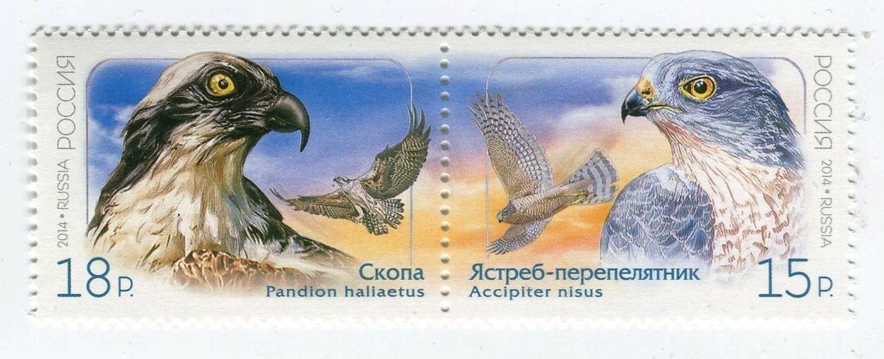Alle Briefmarken: Briefmarken "Fischadler & Sperber". Russland – Neu und originalverpackt aus Basel von Butsch5