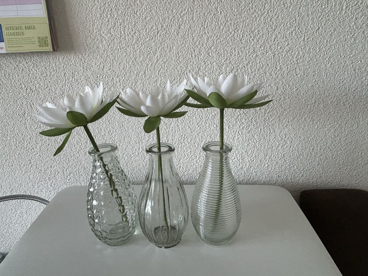 Plantes & graines: Blumen künstliche – Neuf (Voir description) à Tuggen par Nadia4488 2