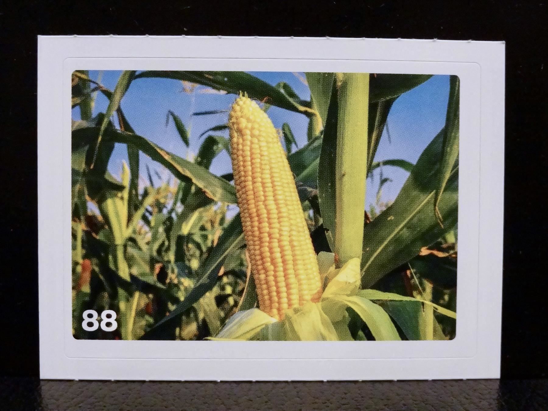 Migros Carte collezionabili: MIGROS MANIA Nature Detectives Nr. 88 – Usato da Kerzers venduto da zimmergruen