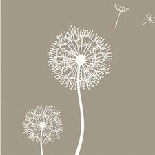 Profile image of Pusteblume-kjo