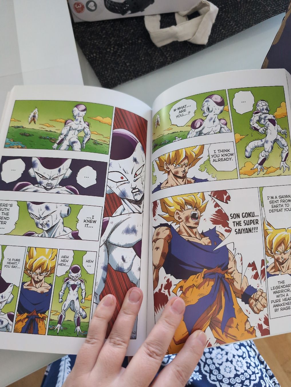 Fumetti: Dragon Ball Comic – Usato da Jona venduto da Schaniarle 3
