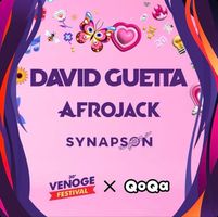 1x Billet David Guetta Venoge festival 2026 - 11 août