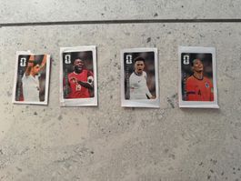 FIFA World Cup Stickers coca cola
