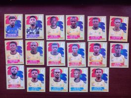 Stickers Panini World Cup 2026 Team RSA 