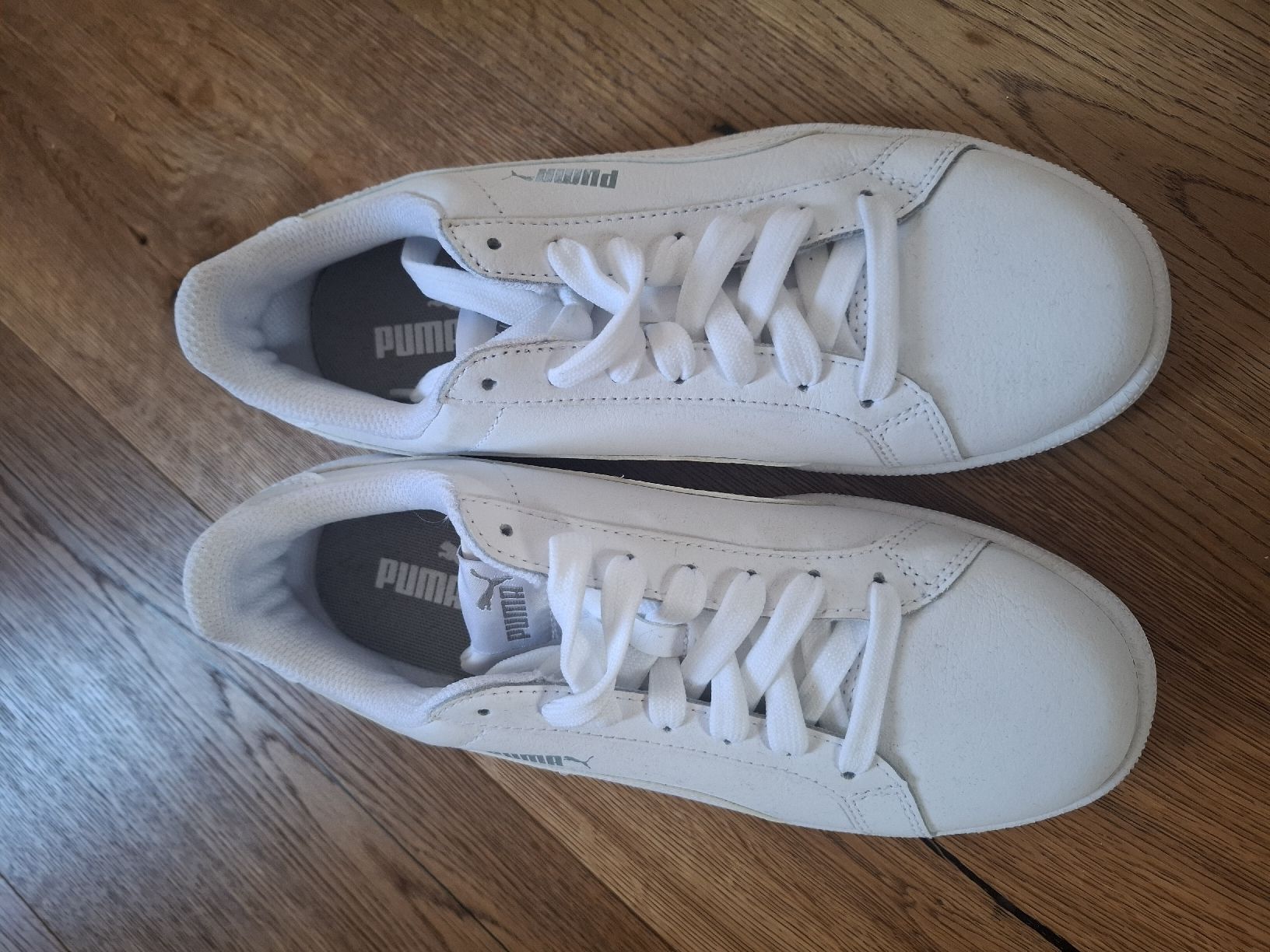 Puma Scarpe da donna: PUMA Schuhe Grösse 37.5 – Nuovo (secondo la descrizione) da Allschwil venduto da nicki1803 1