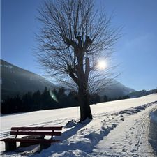 Profile image of MPS1974