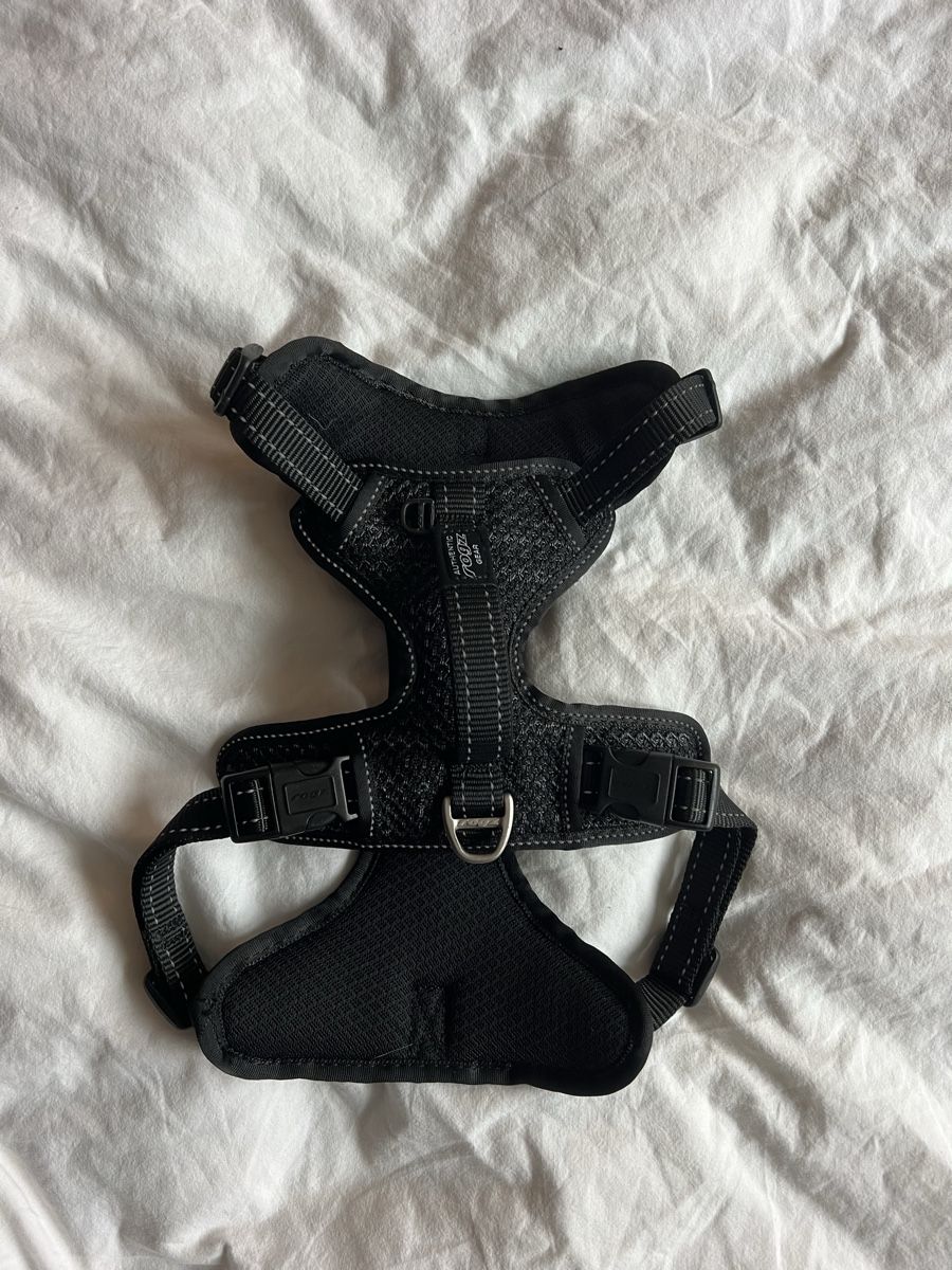Collier et laisse: Rogz Explore Harness Medium Black 45-70cm – Neuf (Voir description) à Zürich par einbre 2