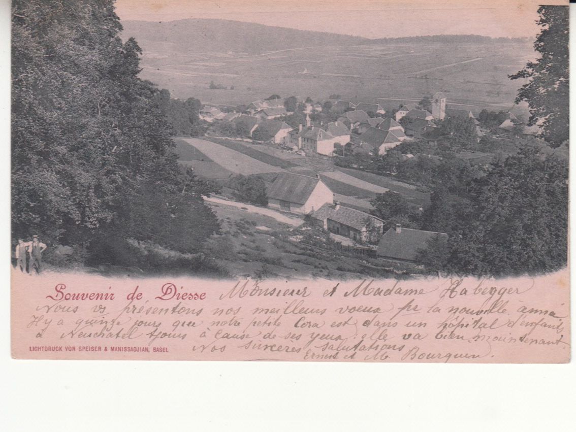 Cartoline postali: Diesse 1900  mit SBK 77B – Usato da Bürglen TG venduto da StampGraf