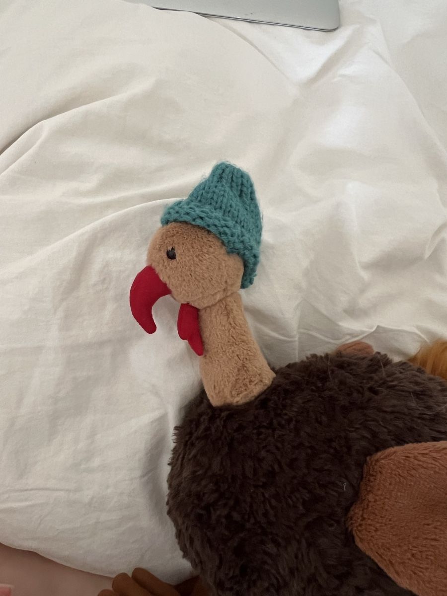 Jellycat Jouets: Jellycat Truthahn – Neuf (Voir description) à Zürich par hannah.liaaa 2