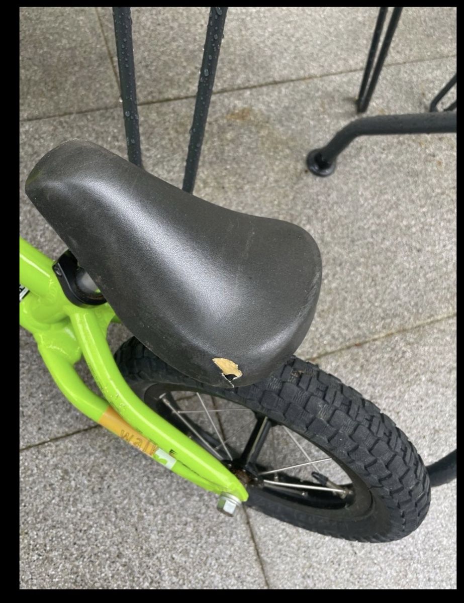 Veicoli per bambini: Laufrad, Grün, Kinderrad – Usato da Untervaz venduto da Efri33 1