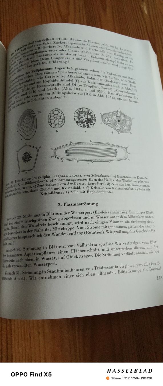 Libri: Pflanzenkunde – Usato da Volken venduto da katz5 2