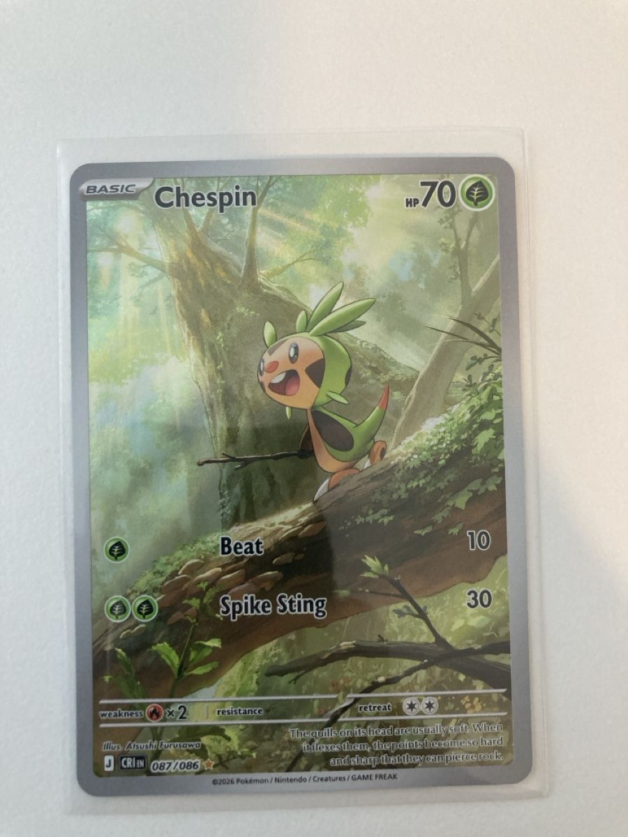 Pokémon Carte collezionabili: Chespin 087/086 EN – Nuovo (secondo la descrizione) da Wohlen AG venduto da Liridon22