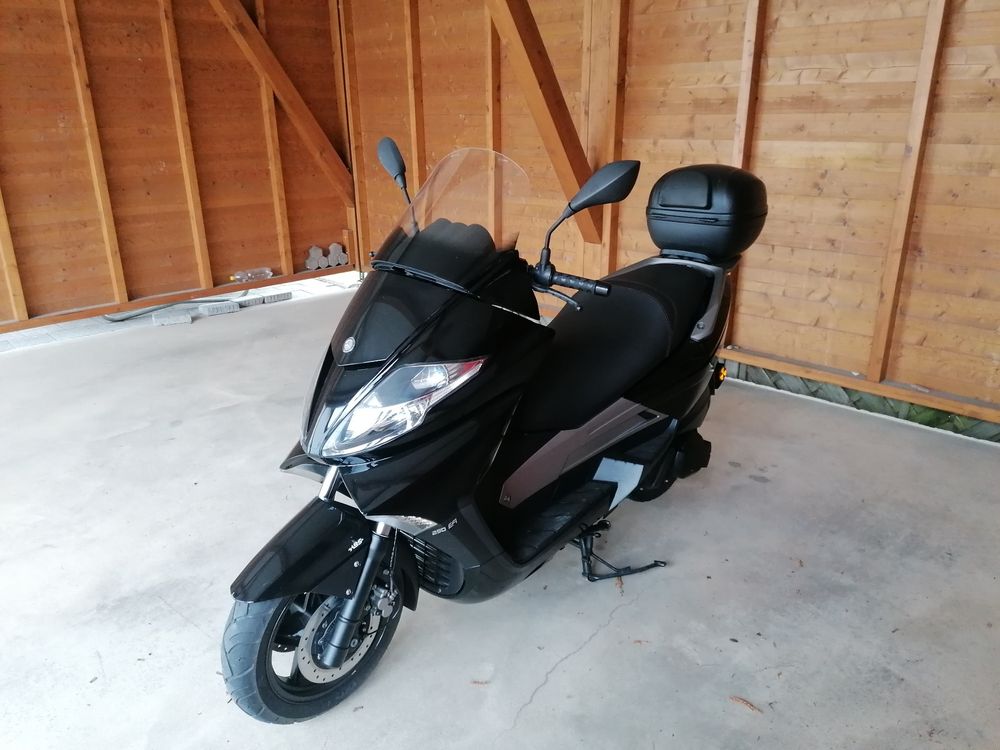 Vengo Silverblade Roller 250 | Kaufen auf Ricardo