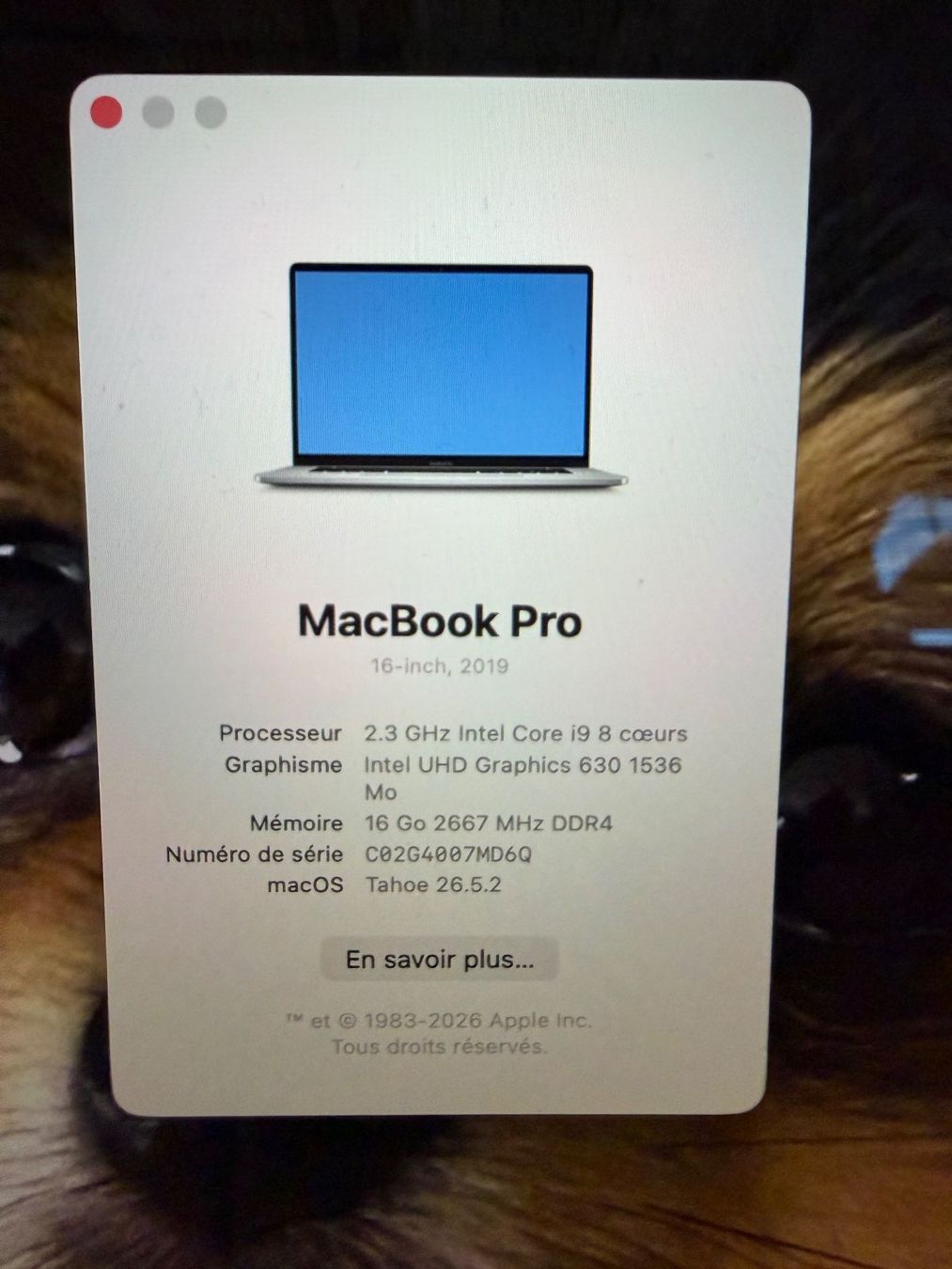 Apple Notebook: MacBook Pro 16 pouces, 2019 – Usato da Belmont sur Yverdon venduto da GuyLorsMytthra