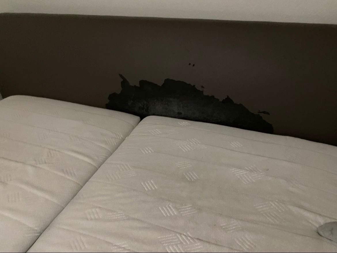 Letti: Boxspringbett Elektrisch – Usato da Lupfig venduto da Pluribus 4