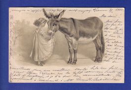 ENFANT - Jeune fille et âne - Carte gauffrée