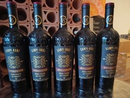 5 Fl. Campi Rudi Appassimento Rosso Puglia IGT,  2024