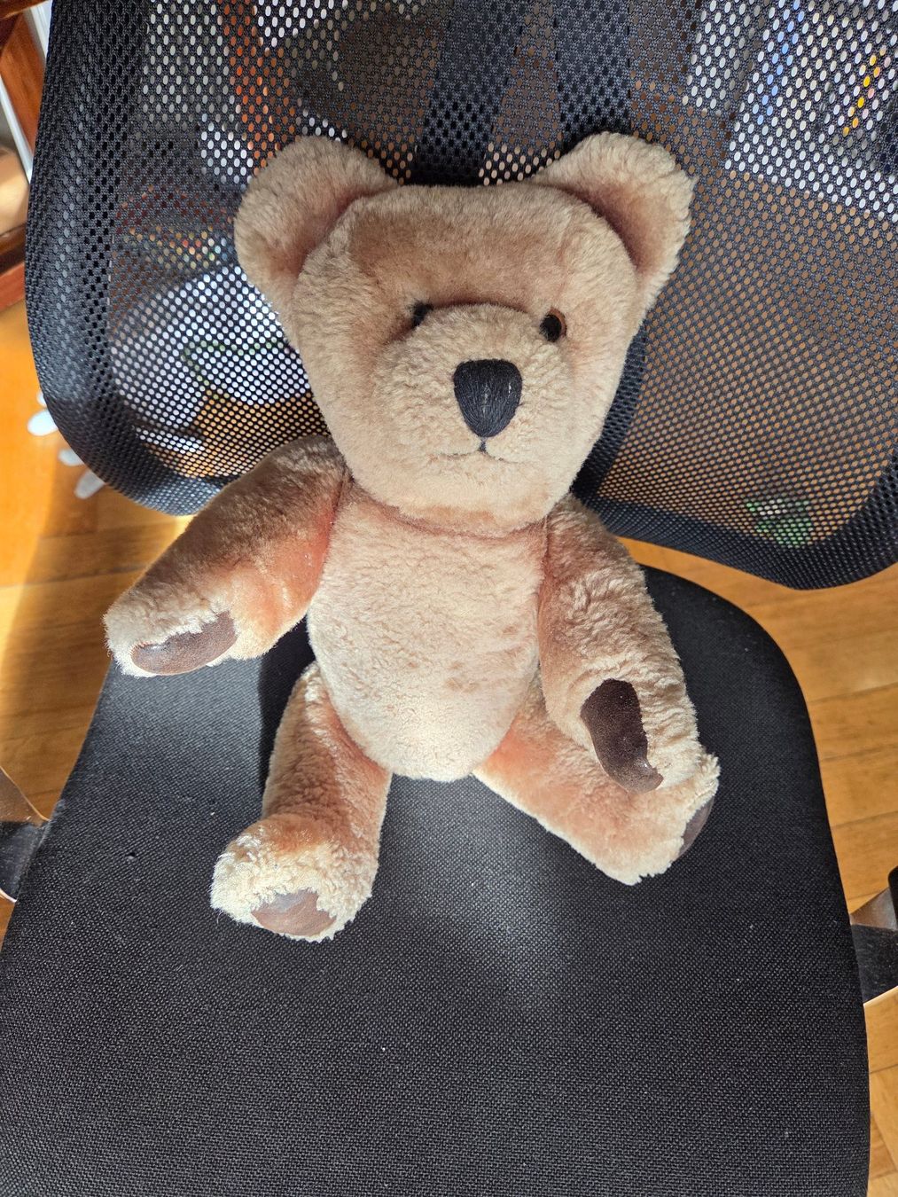 Giocattoli: Peluche ours Teddy vintage – Usato da Territet venduto da Cenh 2