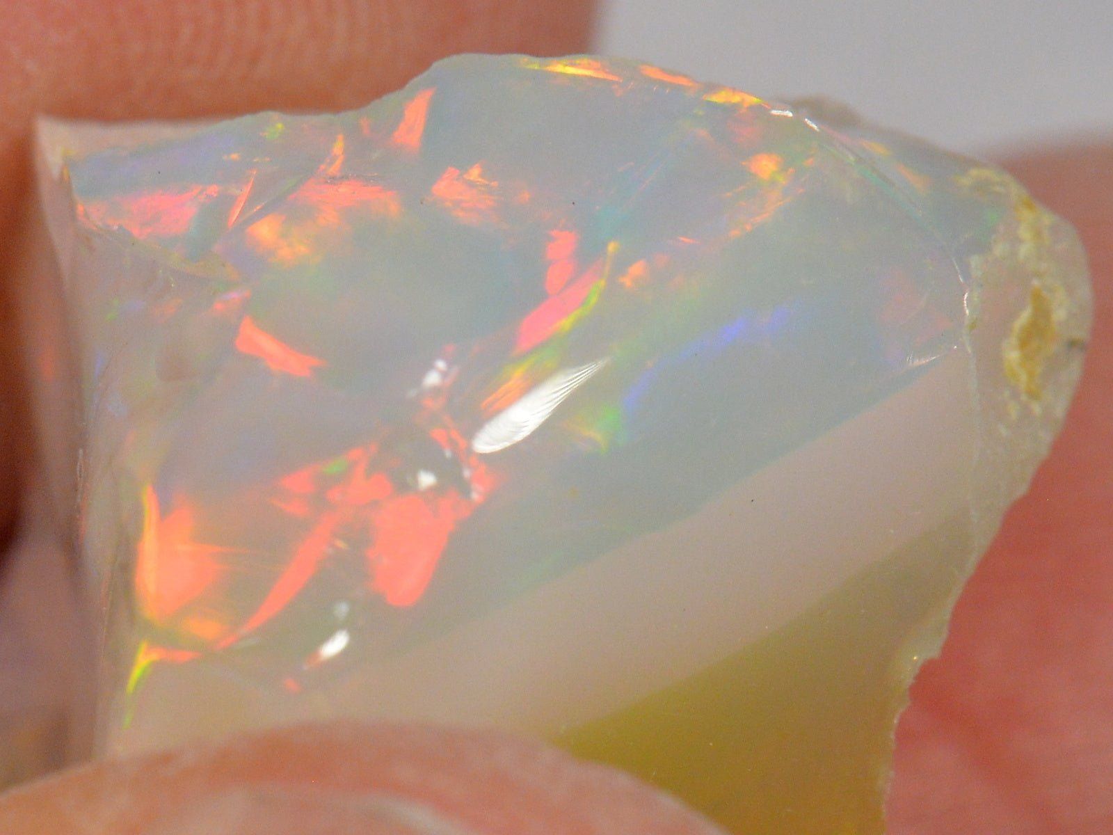 Pietre preziose: 17 Karat - Roher Äthiopischer Welo Opal – Nuovo (secondo la descrizione) da Rüti ZH venduto da DeinOpal 3