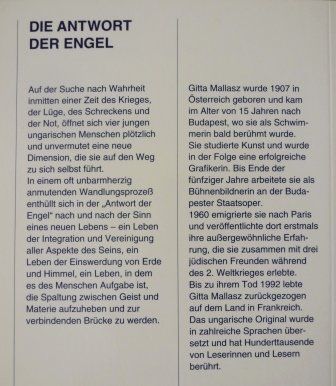 Livres: Die Antwort der Engel – Neuf avec emballage d'origine à Mauren par Yeelen 3