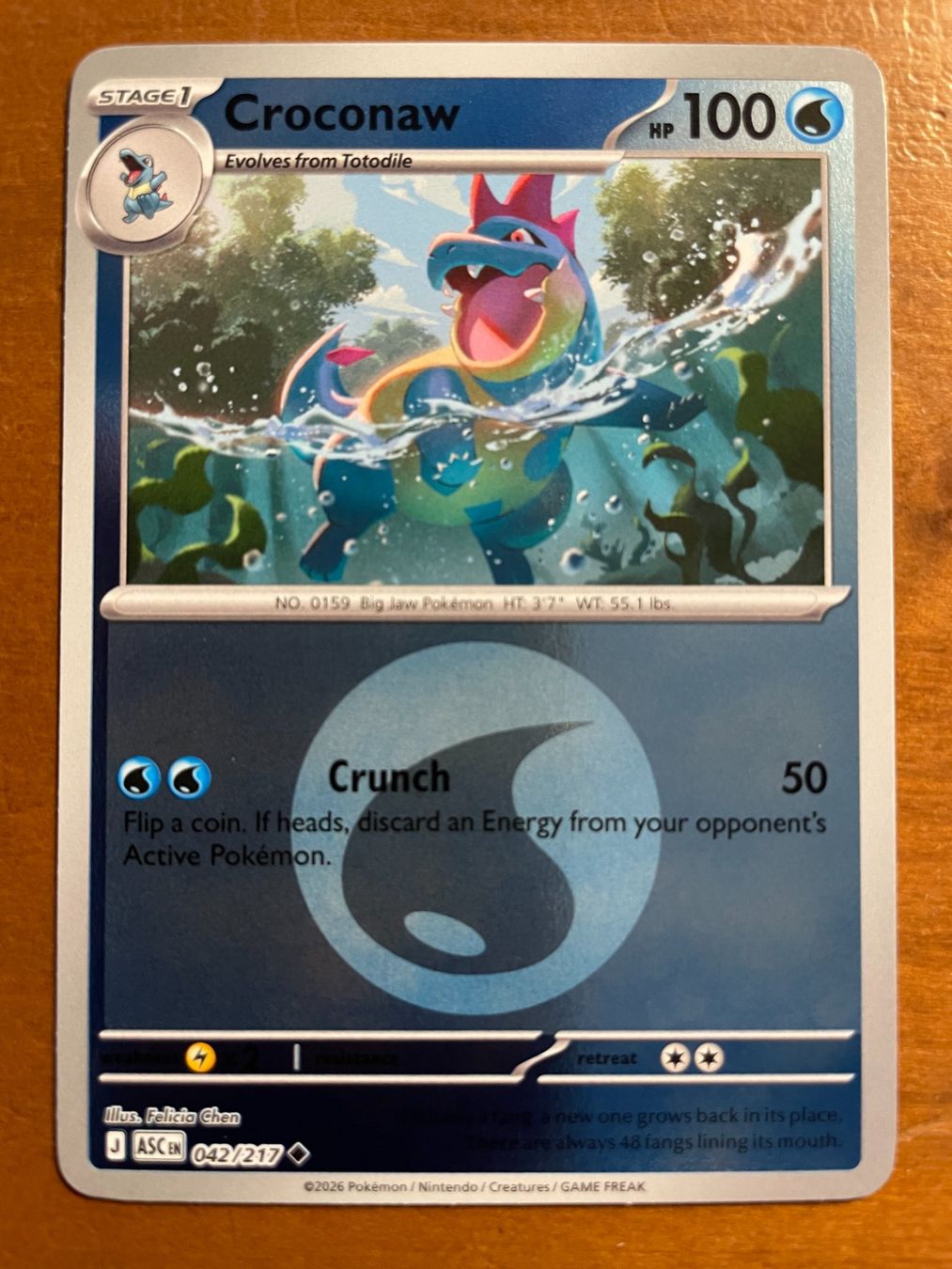 Pokémon Sammelbilder & Trading cards: Pokemon Croconaw Reverse (Versand gratis) – Neu (gemäss Beschreibung) aus Chur von Angerson
