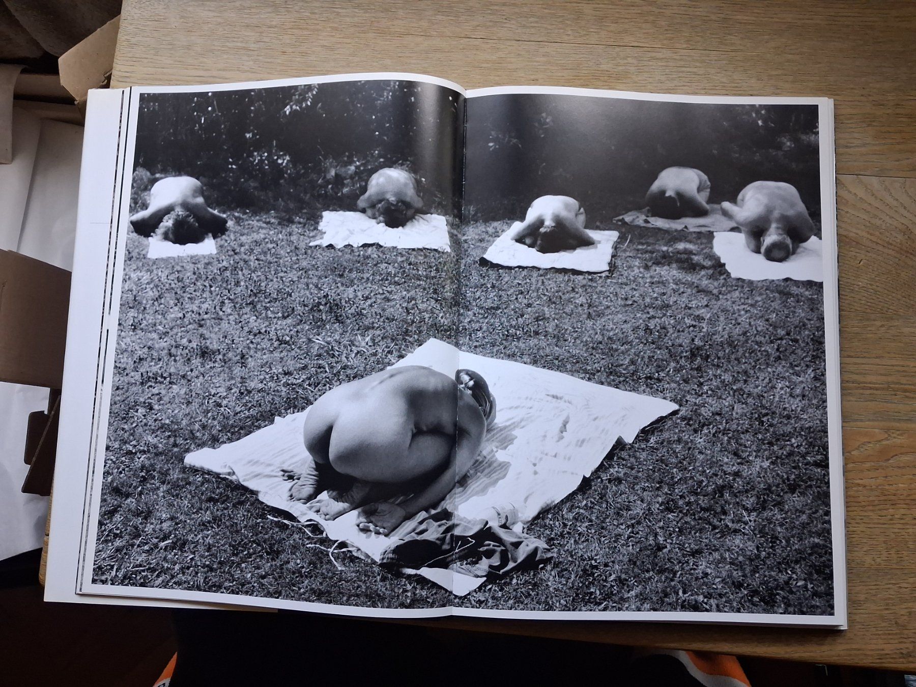 Libri: Michael von Graffenried Nackt im Paradies selten – Usato da Welschenrohr venduto da Regool 1