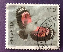 Nr. 1238 MAUERLÄUFER GESTEMPELT 2007