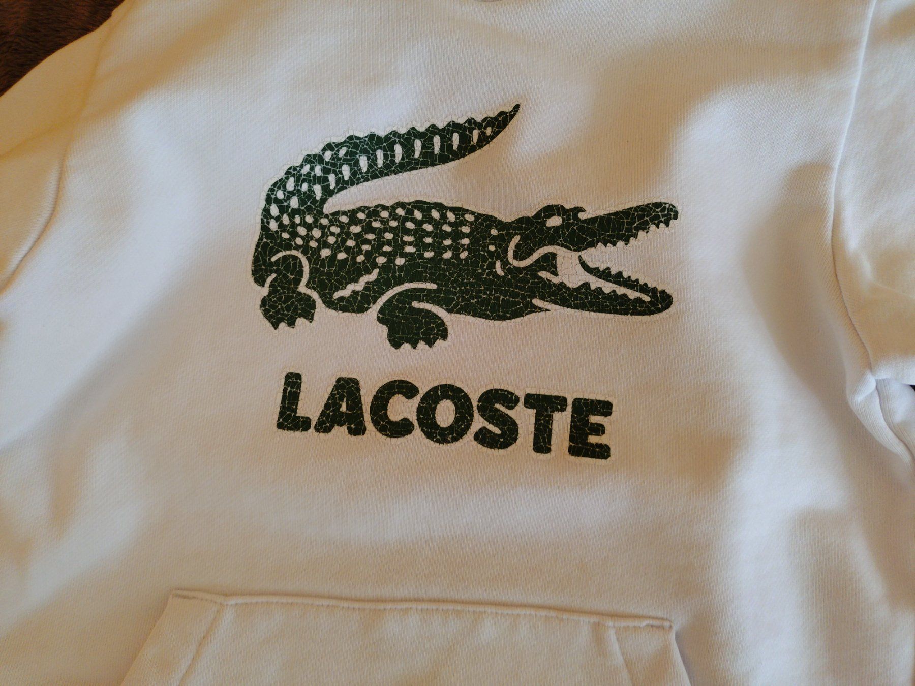 Lacoste Maglioni & Felpe: Lacoste Hoodie weiss Kinder – Usato da Bottmingen venduto da Malina_Outlet 5
