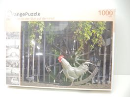 Orange 18 Gockel auf dem Hof 1000