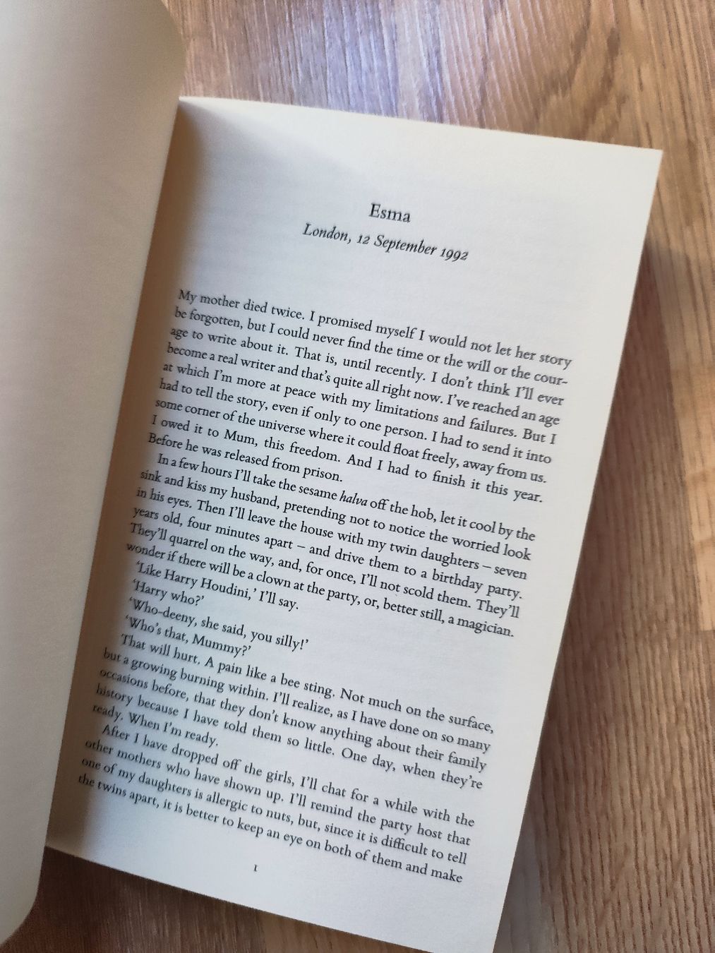 Libri: Elif Shafak "Honour"  – Usato da Mägenwil venduto da VintageGirly 5