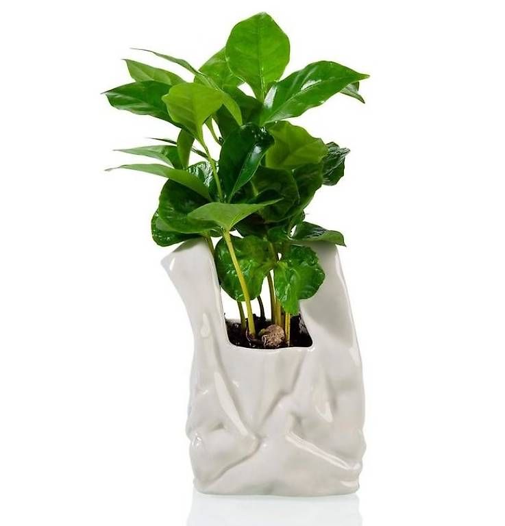 Vasi & Recipienti: Moderne Deko Vase – Usato da Biel/Bienne venduto da EasyAtHomeCH 1
