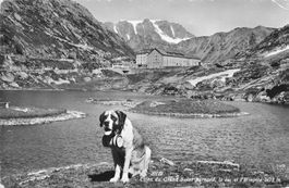 Hospiz Grand St. Bernard