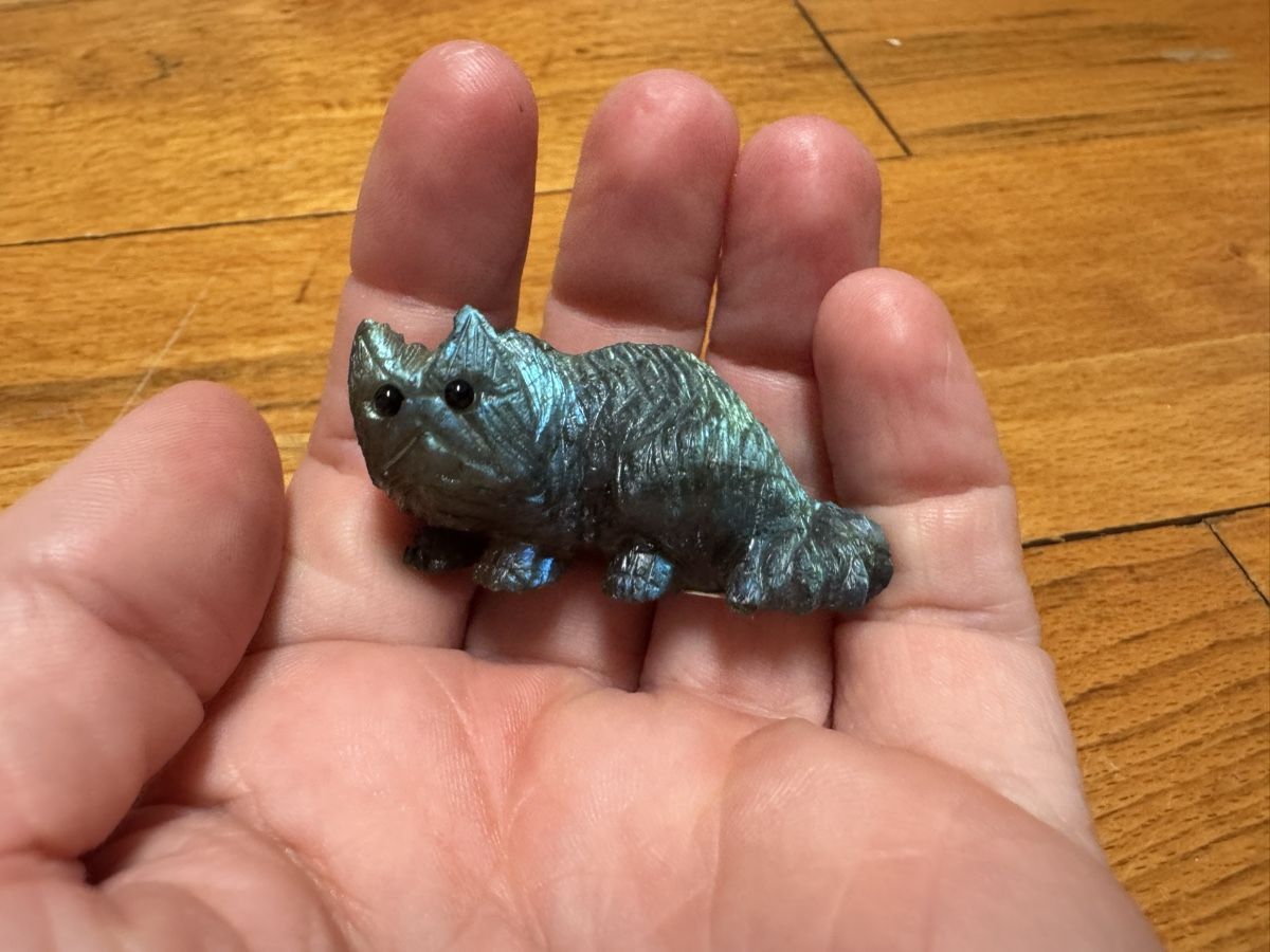 Pietre preziose: Labradorit Katze – Usato da Birsfelden venduto da Blauer_Kaktus 3