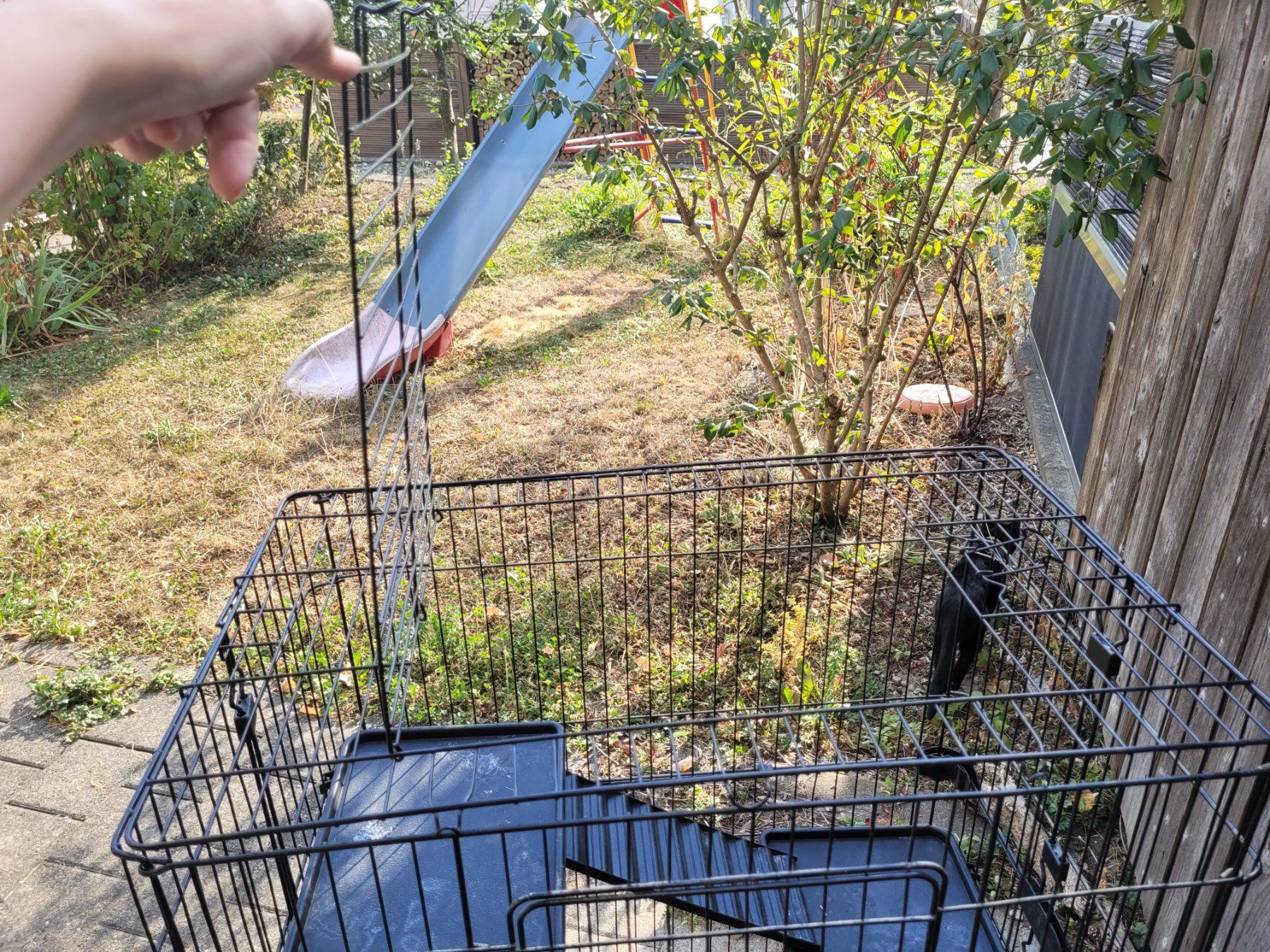 Cages, transport & sécurité: Kleintier- / Vogel- Käfig – D'occasion à Sursee par Tamagottschi 6