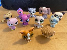 Littlest Pet Shop - Firguren