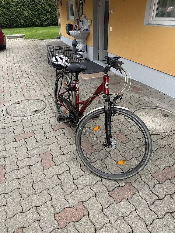 Biciclette: Damenvelo Herrenvelo – Usato da Amriswil venduto da Mello0 3