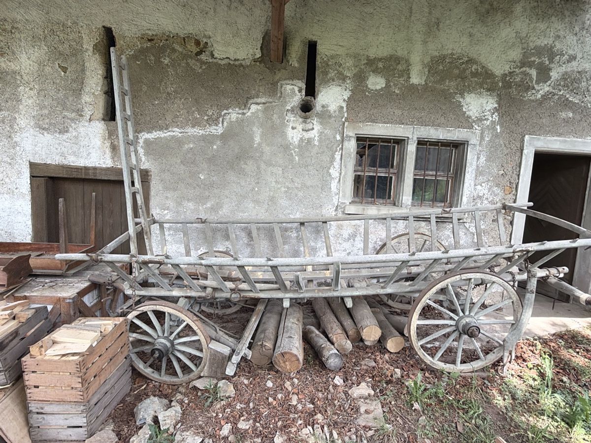 Rimorchi: Holzwagen – Usato da Arisdorf venduto da Lerpi