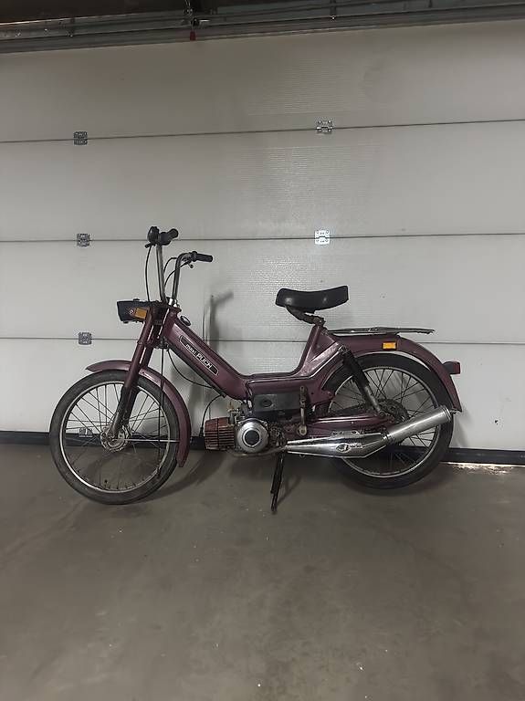 Puch Mofas: Puch Maxi S – Gebraucht aus Diepoldsau von fed_wvn6